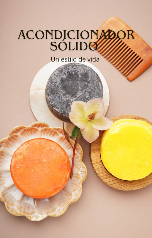 Ebook Shampoo Sólido y Acondicionadores: Recetas, Técnicas y Secretos Profesionales
